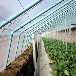 Moules et formes de béton pré-arrangés, racines, faisceau, béton, nouveauté 2019