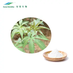 メーカー供給TianCha Sweet Tea Extract Powder 70% ルブソシド