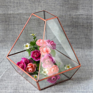 Planta de interior terrarios venta al por mayor decoración artesanía - Product Image 2