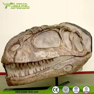 Modelo fósil de cráneo de dinosaurio de resina de tamaño natural