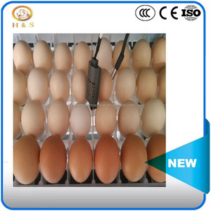 Incubateur d'oeufs de <span class=keywords><strong>paon</strong></span> - Product Image 6