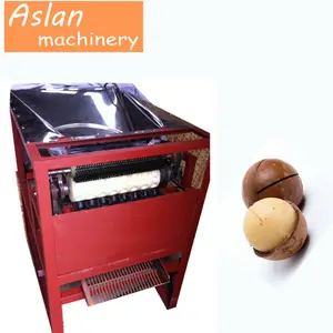 Macadamia Nut Opening Machine/macadamia Nut Tapping Machine Engineers Available to Service Machinery Overseas Aslan Jixie CN;HEN