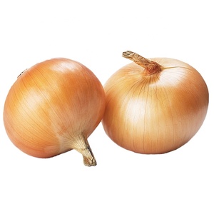 Nhà Cung Cấp Hành Tươi 2022 Hành Tây Giá Rẻ Màu Đỏ Vàng Trung Quốc Giá Gia Vị Ngọt Hạng Nhất Từ CN;SHN 0.25Kg Vòng 10MT 5 Cm T/T - Product Image 6