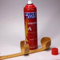 Extincteur d'incendie pour voiture avec logo personnalisé du fabricant, agent moussant 1000 ml, extincteur d'incendie pour voiture