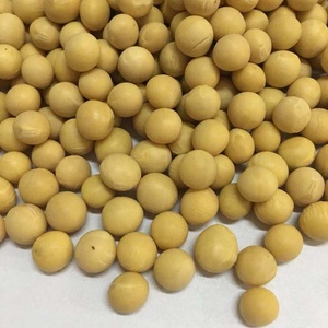 NON-GMO semi di <span class=keywords><strong>Soia</strong></span> Semi di <span class=keywords><strong>Soia</strong></span> - Product Image 2