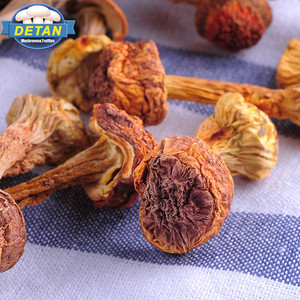 Detan seco <span class=keywords><strong>Agaricus</strong></span> blazei/Nombres de hongos <span class=keywords><strong>comestibles</strong></span> - Product Image 1