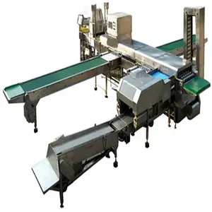 Commercial egg cleaning and sorting machine