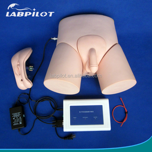 Dewasa Pria/Wanita Kateterisasi <span class=keywords><strong>Simulator</strong></span> dengan Intubasi Pelatihan Monitor - Product Image 1