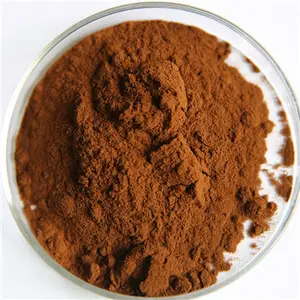 Estratto puro del fungo di Chaga di 100% applicato In polvere del fungo di Chaga del tè