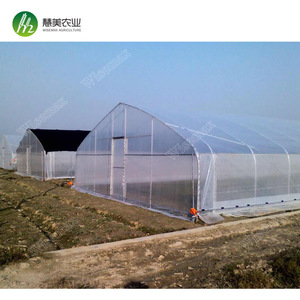 15 años de garantía de plástico barato agricultura único de túnel invernadero - Product Image 1