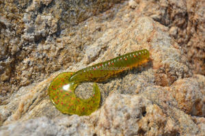 En gros artificielle leurre souple leurre <span class=keywords><strong>de</strong></span> pêche - Product Image 5