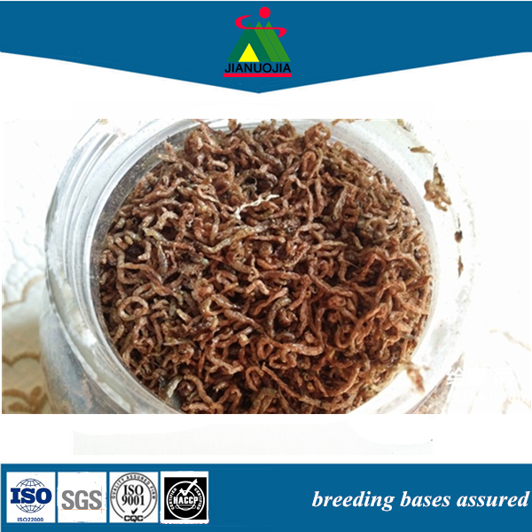 замороженный червяк