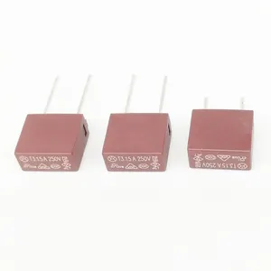 Square plastic sealed Box fuse with EU US certificate slow fusing current protection for circuit adapter drive appliances