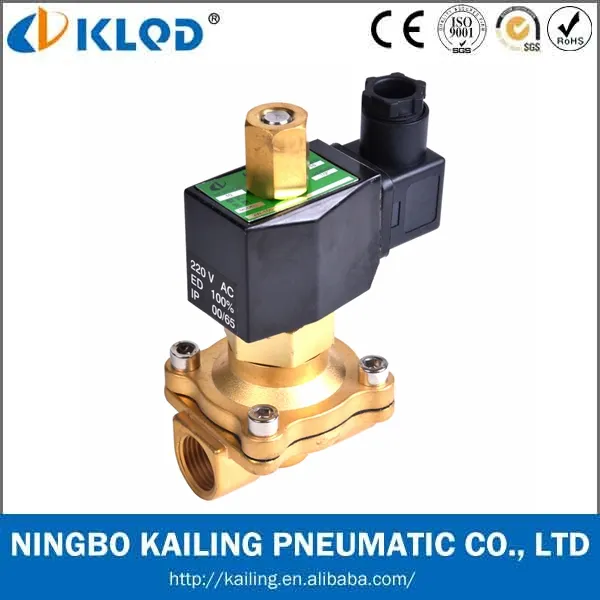 2W160 Series 2Inch 2/2 Way Direct Acting Electronic Flow Control Solenoid Water Valve