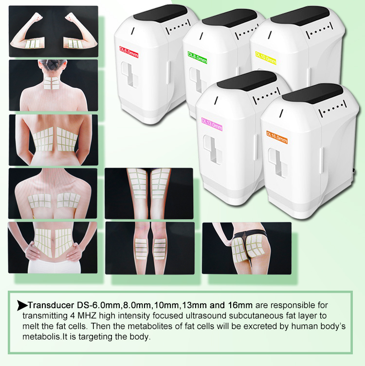3D Hifu Face Machine 11 Lines Facial Anti Aging Slimming Body Machine