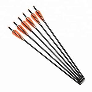 Flèches pour tir à l'arc en fibre de verre, 800, carillons, exercices d'entraînement, nouvelle collection - Product Image 2