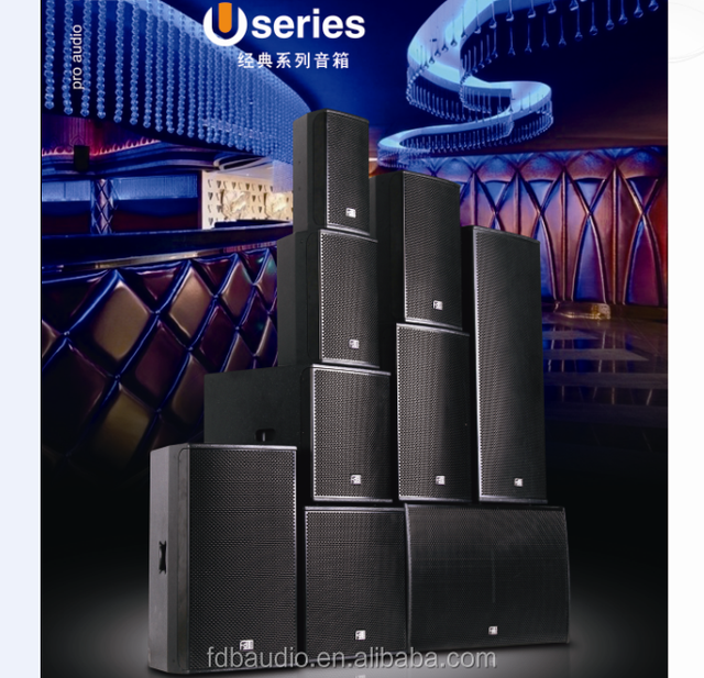 Big Power 12" Professinal Speaker for Installation