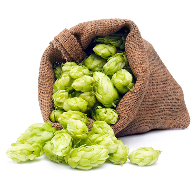 Цветок хмеля P.E. Экстракт пива хоп