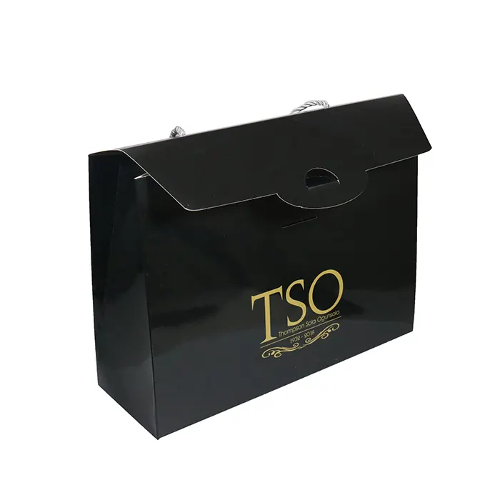 Luxury Box Type Paper Bag With Custom Printed Eco Glossy laminated Art Paper Bag Carry Shopping Use