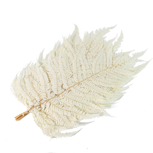 Plantes éternelles naturelles conservées, grandes feuilles de <span class=keywords><strong>fougère</strong></span> conservées, grandes plantes à feuilles vertes - Product Image 6