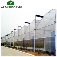 Invernadero Tropical de acero galvanizado, precio barato