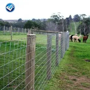 long-lasting galvanized cheap field farm wire mesh fence price