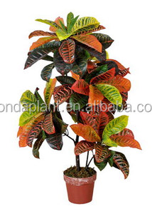 A buon mercato cinese aria bonsai artificiale banyan semi di albero bonsai di plastica <span class=keywords><strong>alberi</strong></span> bonsai da interno piante - Product Image 1
