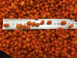 BRC — burrets de mer certifié IQF, fruits glaces, boucle de mer - Product Image 3