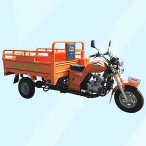 3 wheel petrol mini bike / 200cc three wheel electric scooter / automatic gear adult motorcycle on sale