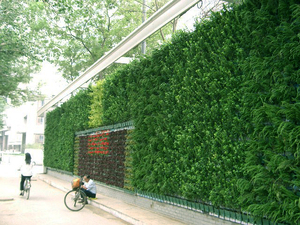 Planteuses murales de jardin verticales, fournisseur de jardin vert, chine - Product Image 6