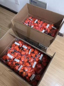 Giảm Giá Lớn Bán Buôn Gà Núm Vú Uống Nhựa Núm Vú Tự Động Uống Cho Gia Cầm - Product Image 6