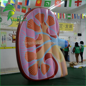 Tùy Chỉnh Khổng Lồ Không Khí Tim Gan Phổi Lá Lách Thận Cơ Thể Con Người Mô Hình/<span class=keywords><strong>Inflatable</strong></span> Thận Organ Để Hiển Thị - Product Image 2
