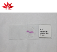 Fixed Set 50 Kinds Human General Pathology Microscope Slides for Educational Supplies,animal Pathology Prepared Slides