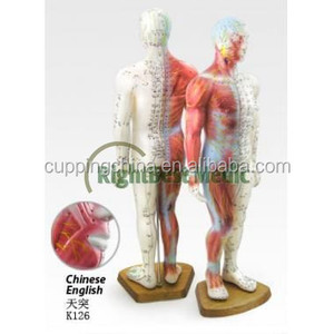 84cm masculino corpo humano acupuntura pontos e modelo muscular ensino modelo de utilizador manual em inglês - Product Image 3