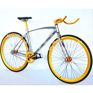 Single speed chrome fixed gear bicycle / fixie bike