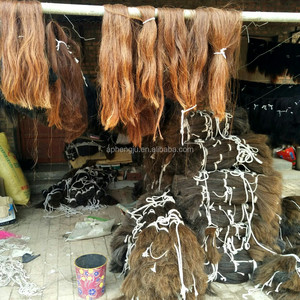 Crin de Caballo Natural en Venta - Product Image 2