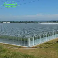 Complete Glass Agricultural Greenhouse Turnkey Project with Quick Construction