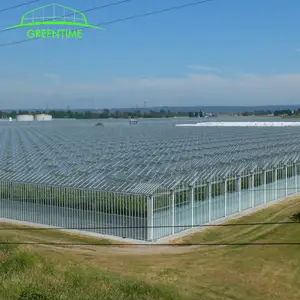 Projet clé en main de serre agricole en verre complet avec construction rapide