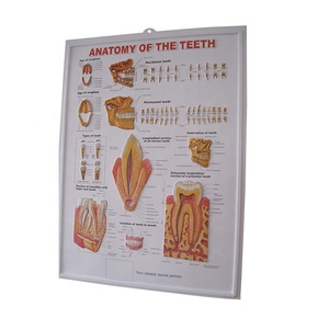 Nhà Máy in 3d Pvc Tấm Poster Tùy Chỉnh Thiết Kế Áp Phích 3d Dập Nổi Biểu Đồ - Product Image 2