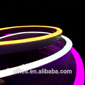 Néon multicolore Flexible Néon LED PVC Ce 80 IP65 24V RGB Led Strip Light 480d Silicone Ip67 Landscape Tube 480 1200 - Product Image 6