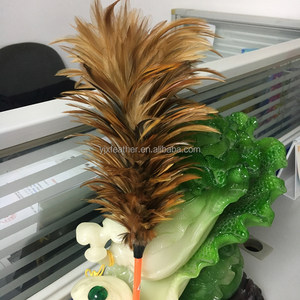 Bán Buôn Chất Lượng Cao Dậu Yên Ma Thuật Feather Duster Để Làm Sạch - Product Image 5