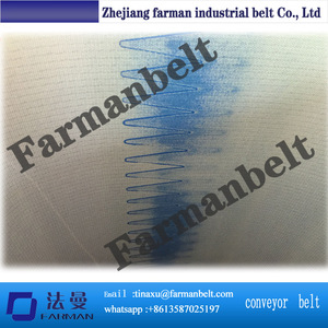 Pürüzlü Yüzey PVC Skid Konveyör bantlar Için Paketleme Makinesi - Product Image 6