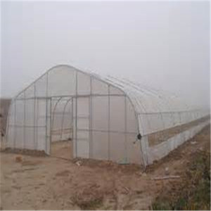 2022 التكنولوجيا الجديدة الدجاج الدفيئة - Product Image 4