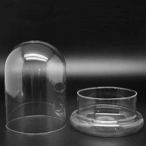 <span class=keywords><strong>DIY</strong></span> Kuppelvase aus Hochwertigem Borosilikatglas mit Glasboden für Tisch-Miniforest-Landschaften, Naturpflanzen und Moos-Dekoration - Product Image 3