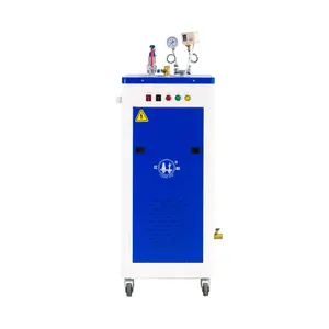 Electric Boiler 3kw 6kw Heating Steam Generator for Home Use