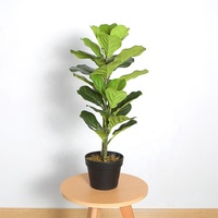 Hochwertiger 74cm Künstlicher Fg-Baum Künstlicher Dekorativer Innenbaum