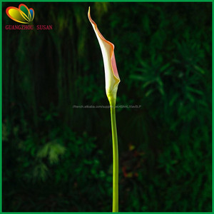 Artificielle calla lily bourgeons réel tactile faux calla lily <span class=keywords><strong>fleur</strong></span> bourgeons pour la décoration - Product Image 2