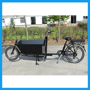 Holland 250 W Ebike Pedal assisted two wheels Load - Product Image 6