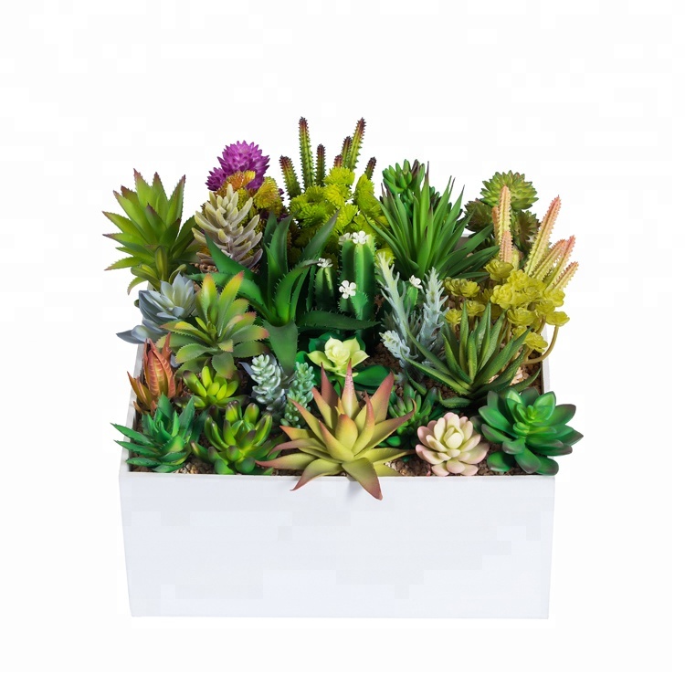 Оптовая продажа, Недорогие Декоративные искусственные мини-суккуленты в наличии