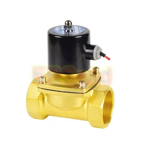 2W500-50 2 inch Water Solenoid Valve